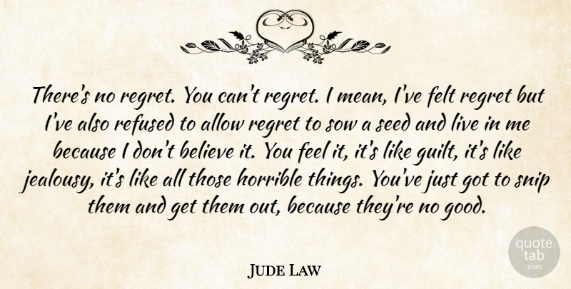 Jude Law Quote About Jealousy, Regret, Believe: Theres No Regret You Cant...