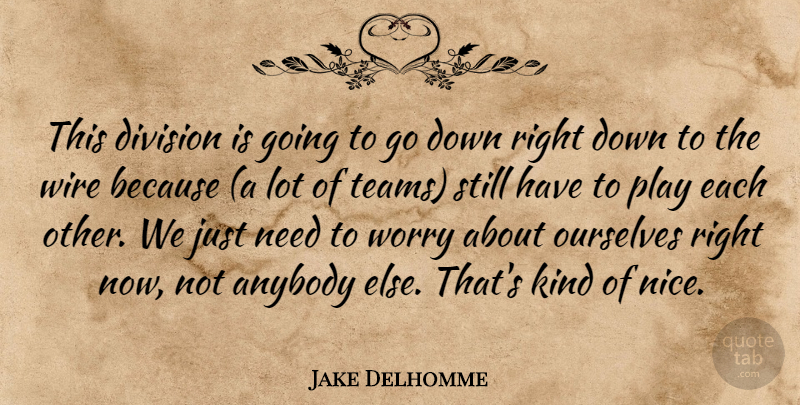 Jake Delhomme Quote About Anybody, Division, Ourselves, Wire, Worry: This Division Is Going To...