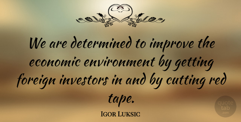 Igor Luksic Quote About Cutting, Determined, Environment, Foreign, Investors: We Are Determined To Improve...