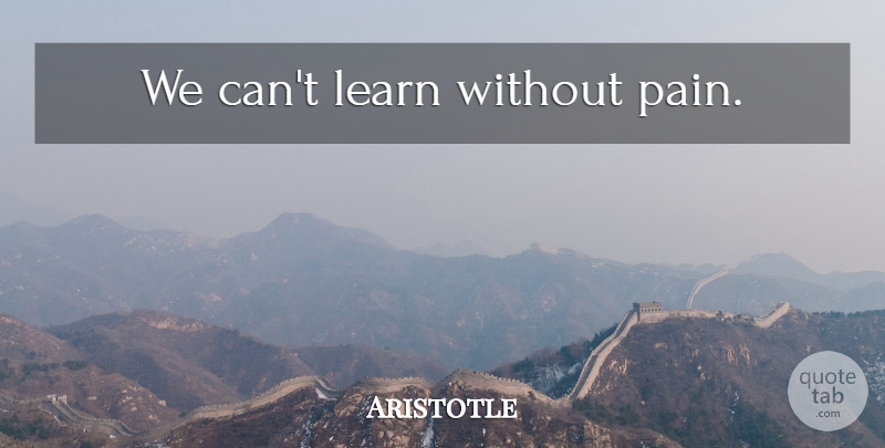 Aristotle Quote About Pain, Without Pain: We Cant Learn Without Pain...