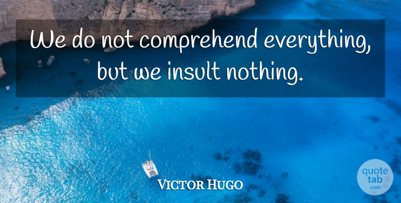 Victor Hugo Quote About Wisdom, Insult, Les Miserable: We Do Not Comprehend Everything...