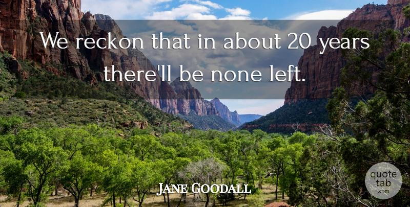 Jane Goodall Quote About None, Reckon: We Reckon That In About...