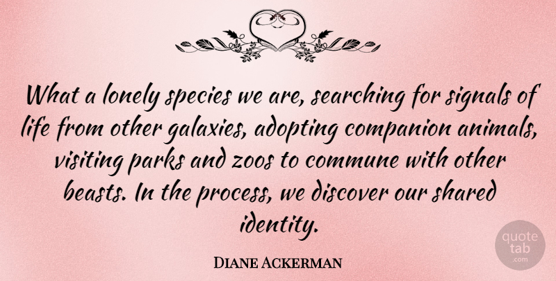 Diane Ackerman Quote About Lonely, Zoos, Animal: What A Lonely Species We...