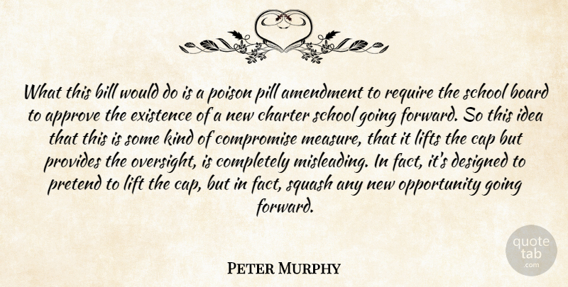 Peter Murphy Quote About Amendment, Approve, Bill, Board, Cap: What This Bill Would Do...