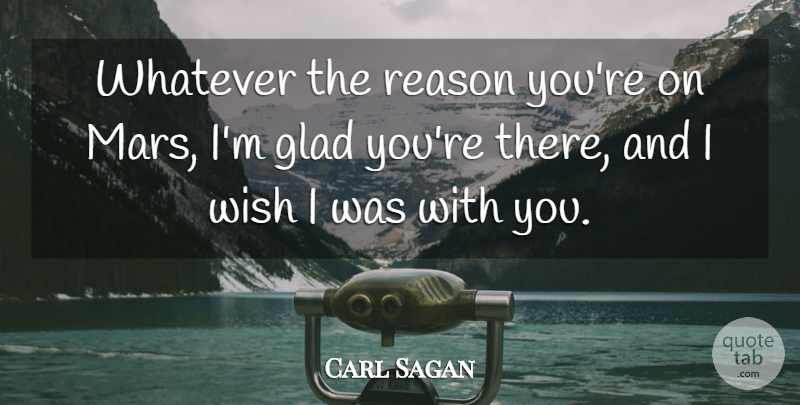 Carl Sagan Quote About Wish, Mars, Reason: Whatever The Reason Youre On...