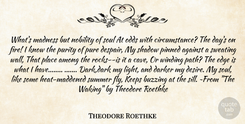 Theodore Roethke Quote About Summer, Wall, Dark: Whats Madness But Nobility Of...
