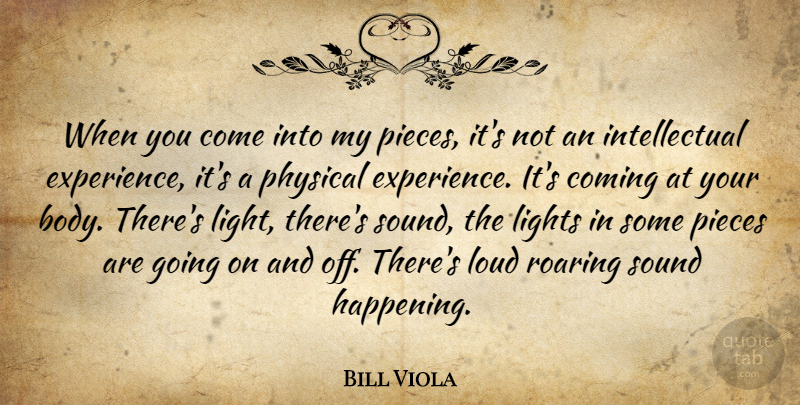 Bill Viola Quote About Coming, Experience, Lights, Loud, Physical: When You Come Into My...