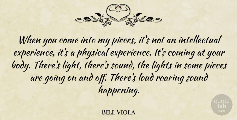 Bill Viola Quote About Coming, Experience, Lights, Loud, Physical: When You Come Into My...
