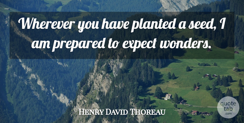 Henry David Thoreau Quote About Wonder, Prepared, Seeds: Wherever You Have Planted A...