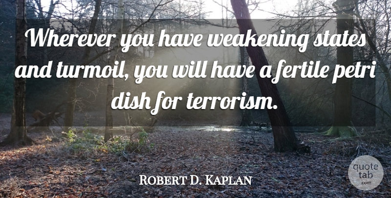 Robert D. Kaplan Quote About Terrorism, Dishes, Turmoil: Wherever You Have Weakening States...
