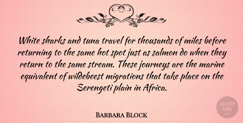 Barbara Block Quote About Equivalent, Hot, Journeys, Marine, Migrations: White Sharks And Tuna Travel...