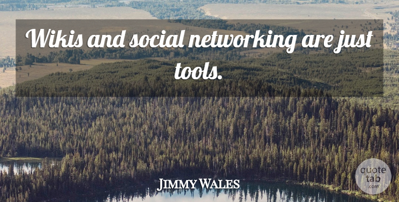 Jimmy Wales Quote About Tools, Networking, Social Network: Wikis And Social Networking Are...
