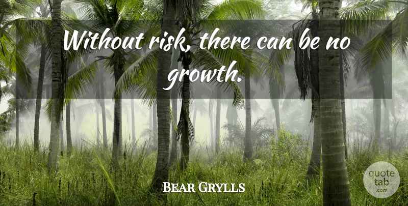 Bear Grylls Quote About Risk, Growth: Without Risk There Can Be...