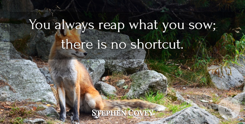 Stephen Covey Quote About Shortcuts, Reap: You Always Reap What You...