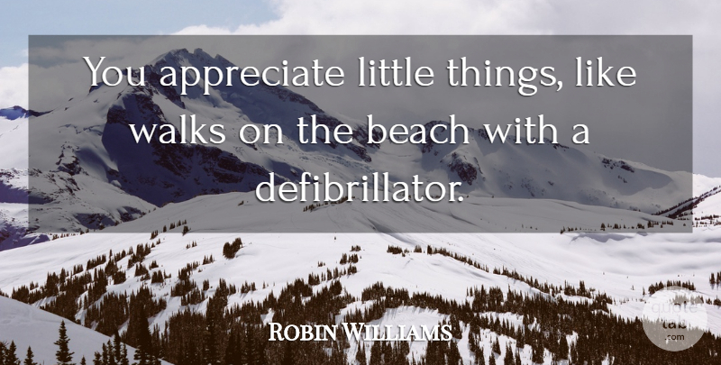 Robin Williams Quote About Beach, Appreciate, Littles: You Appreciate Little Things Like...