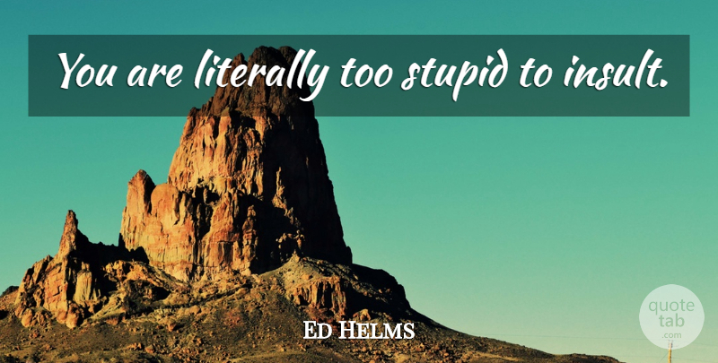 Ed Helms Quote About Stupid, Hangover, Insult: You Are Literally Too Stupid...