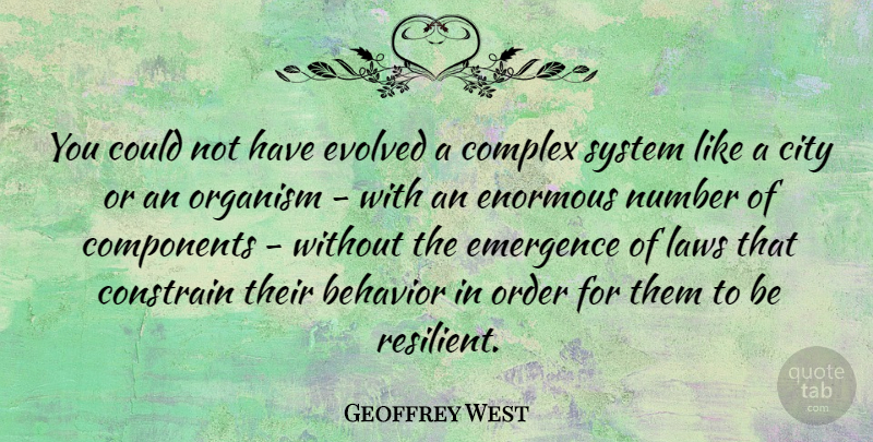 Geoffrey West Quote About Order, Law, Cities: You Could Not Have Evolved...