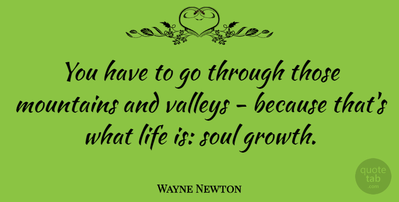 Wayne Newton Quote About Soul, Growth, Mountain: You Have To Go Through...