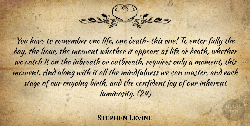 Stephen Levine Quote About Joy, Ongoing, Mindfulness: You Have To Remember One...