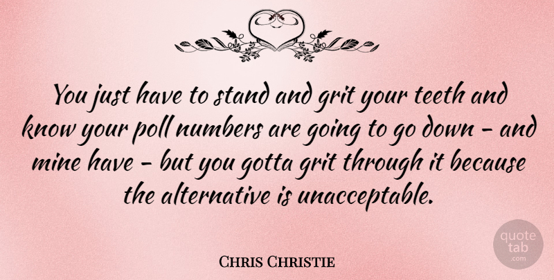 Chris Christie Quote About Numbers, Alternatives, Grit: You Just Have To Stand...