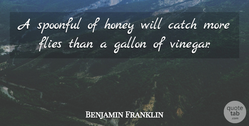 Benjamin Franklin Quote About Food, Bees And Honey, Vinegar: A Spoonful Of Honey Will...