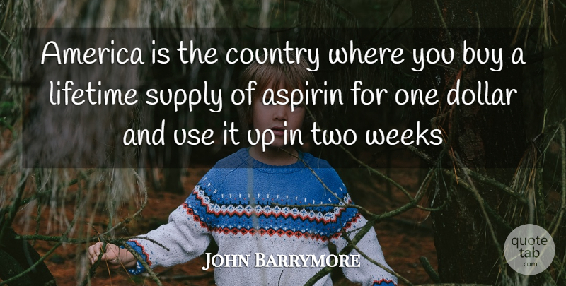 John Barrymore Quote About America, Buy, Country, Dollar, Lifetime: America Is The Country Where...