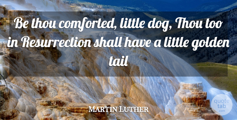 Martin Luther Quote About Dog, Resurrection Of Jesus Christ, Littles: Be Thou Comforted Little Dog...