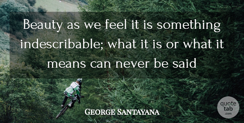 George Santayana Quote About Beauty, Self Esteem, Mean: Beauty As We Feel It...