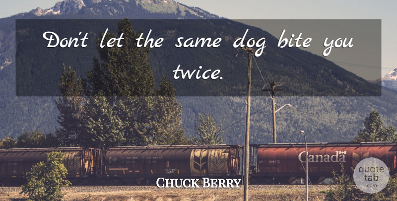 Chuck Berry Quote About Dog, Dog Bite, Bites: Dont Let The Same Dog...