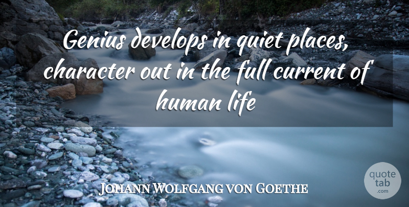 Johann Wolfgang von Goethe Quote About Character, Current, Develops, Full, Genius: Genius Develops In Quiet Places...