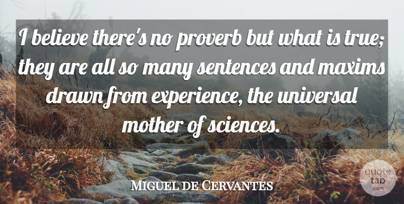 Miguel de Cervantes Quote About Mother, Believe, Literature: I Believe Theres No Proverb...