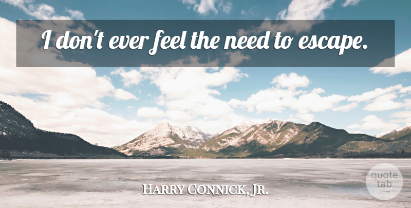 Harry Connick, Jr. Quote About undefined: I Dont Ever Feel The...
