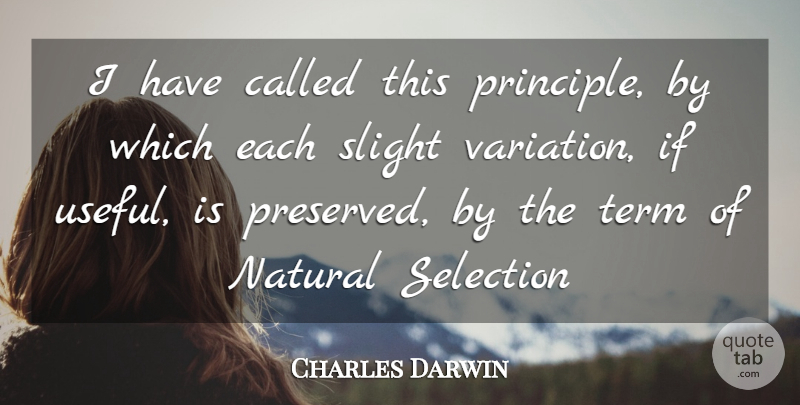 Charles Darwin Quote About Inspirational, Hair, Theory Of Evolution: I Have Called This Principle...