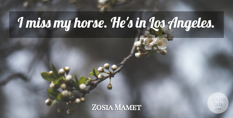 Zosia Mamet Quote About Miss: I Miss My Horse Hes...