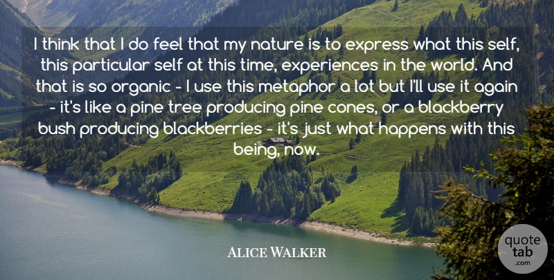Alice Walker Quote About Again, Blackberry, Bush, Express, Happens: I Think That I Do...