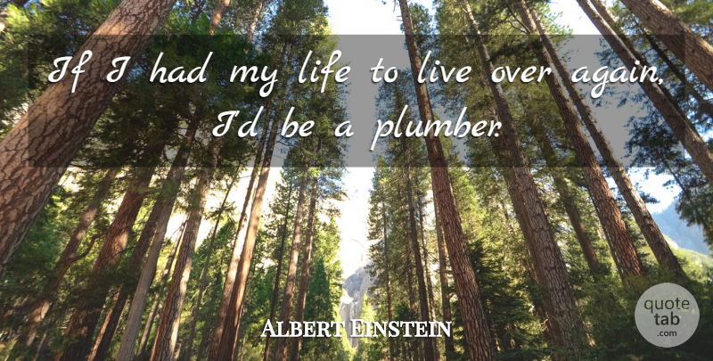 Albert Einstein Quote About Einstein, Life: If I Had My Life...