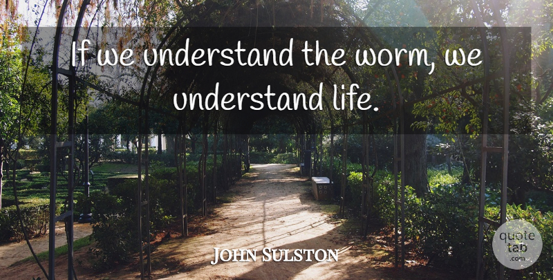 John Sulston Quote About Life: If We Understand The Worm...