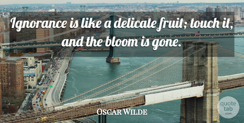 Oscar Wilde Quote About Bloom, Delicate, Ignorance, Touch: Ignorance Is Like A Delicate...