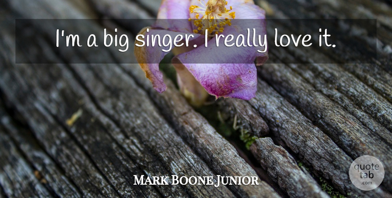 Mark Boone Junior Quote About Singers, Bigs: Im A Big Singer I...