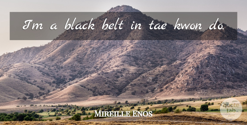 Mireille Enos Quote About Black, Belts, Black Belt: Im A Black Belt In...