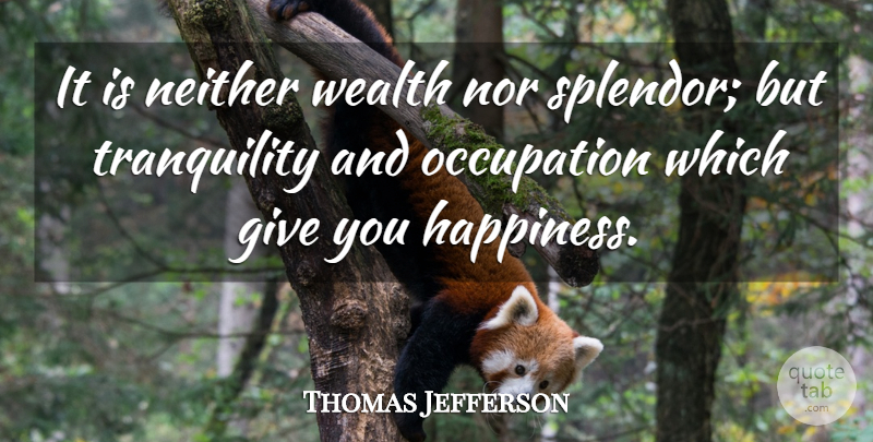 Thomas Jefferson Quote About Life, Happiness, Work: It Is Neither Wealth Nor...
