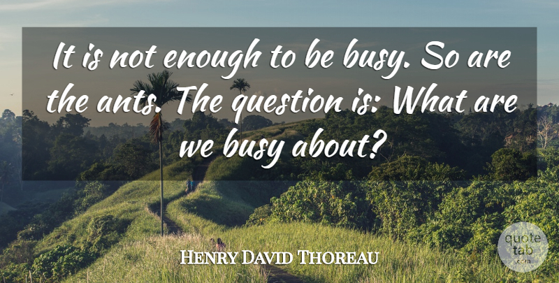 Henry David Thoreau Quote About Inspiring, Time, Fog: It Is Not Enough To...