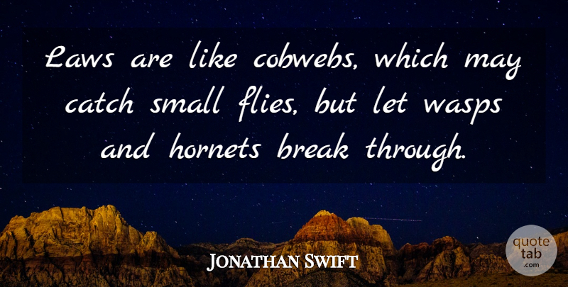 Jonathan Swift Quote About Inspirational, Law, Break Through: Laws Are Like Cobwebs Which...