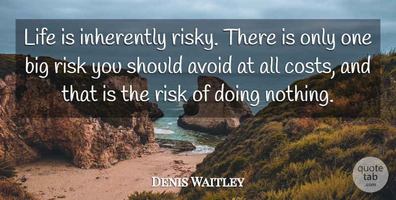 Denis Waitley Quote About Risk, Cost, Doing Nothing: Life Is Inherently Risky There...