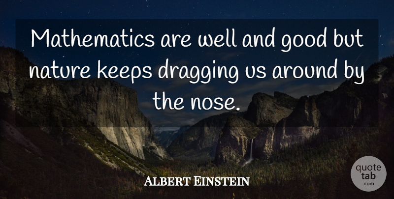 Albert Einstein Quote About Math, Noses, Wells: Mathematics Are Well And Good...
