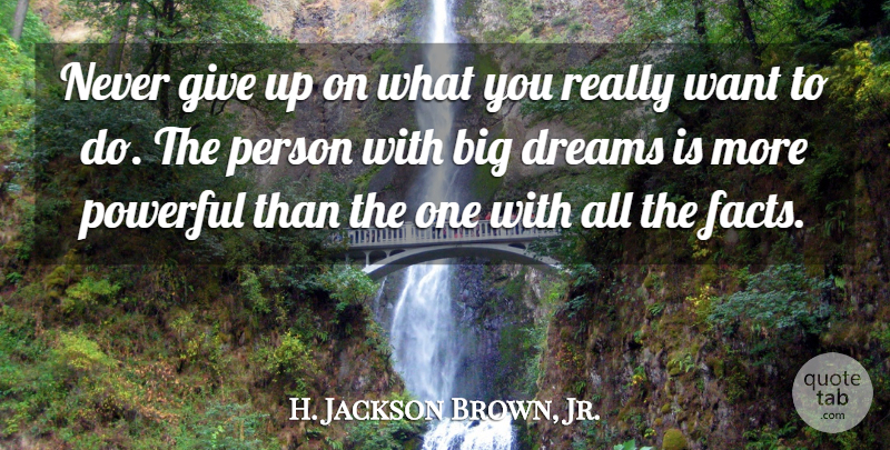H. Jackson Brown, Jr. Quote About Inspirational, Life, Motivational: Never Give Up On What...