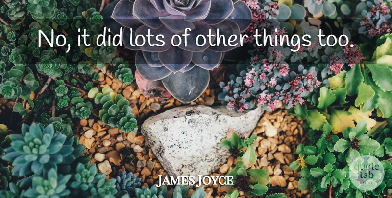 James Joyce Quote About Lots: No It Did Lots Of...