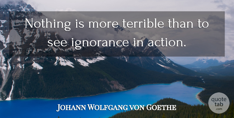Johann Wolfgang von Goethe Quote About Ignorance, Ignorant, Statistics: Nothing Is More Terrible Than...