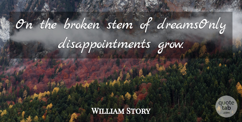 William Story Quote About Broken, Dreams, Stem: On The Broken Stem Of...