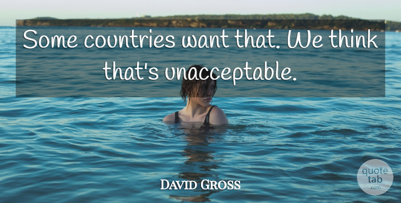 David Gross Quote About Countries: Some Countries Want That We...